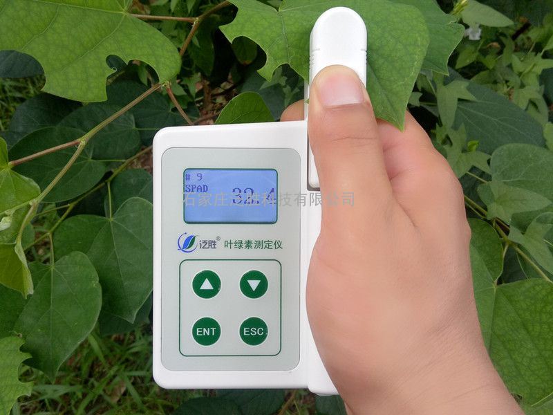 新叶绿素测定仪