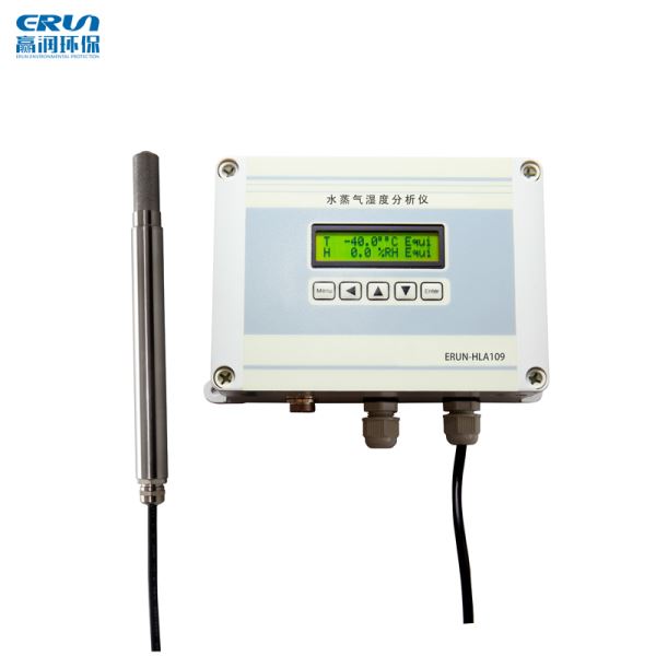 水蒸气湿分析仪水蒸气检测仪