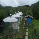 自然补光人工气候室