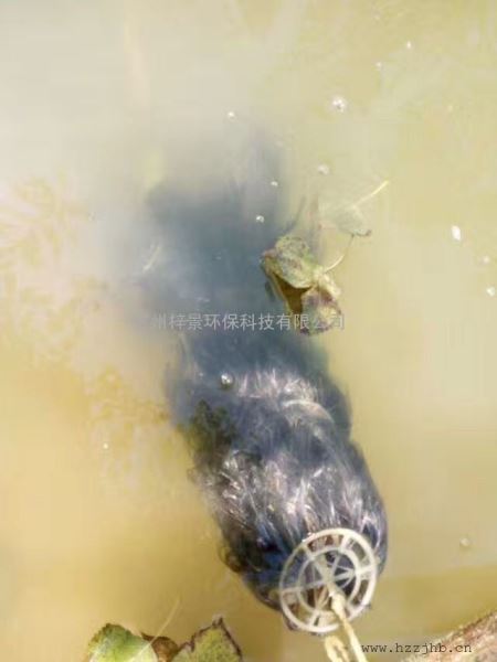 碳素纤维生态草片状碳纤维水草