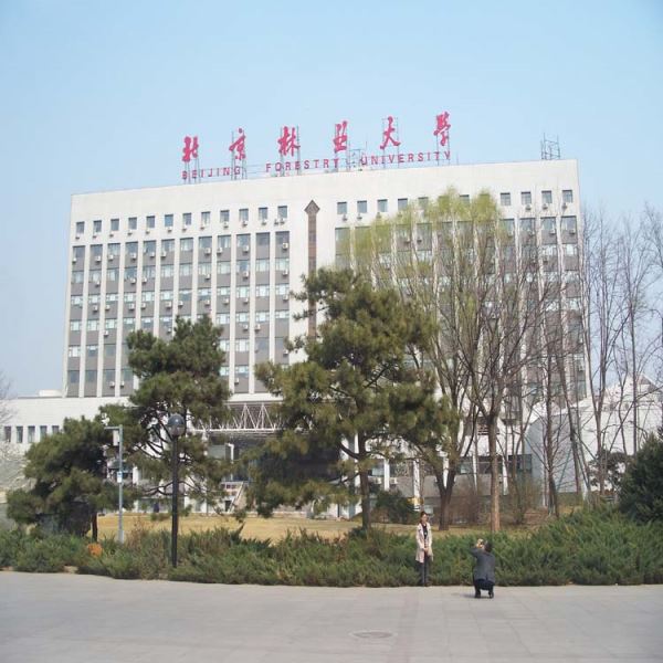 开顶箱调控系统