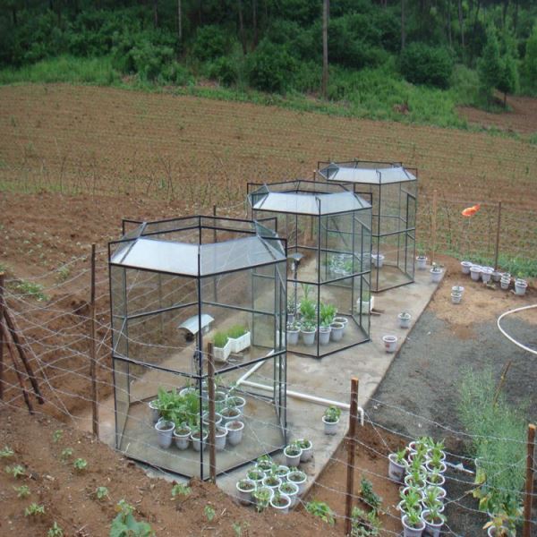 熏气室调控系统