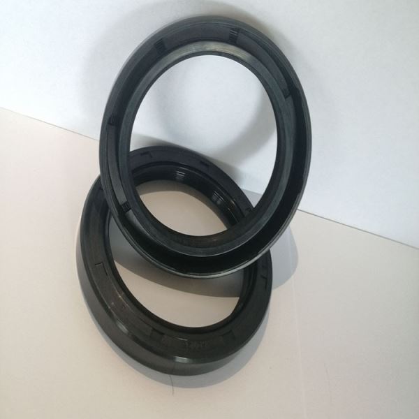 利进口骨架油封丁晴耐油耐磨双唇