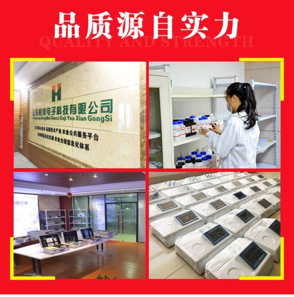 猪瘟快速诊断系统