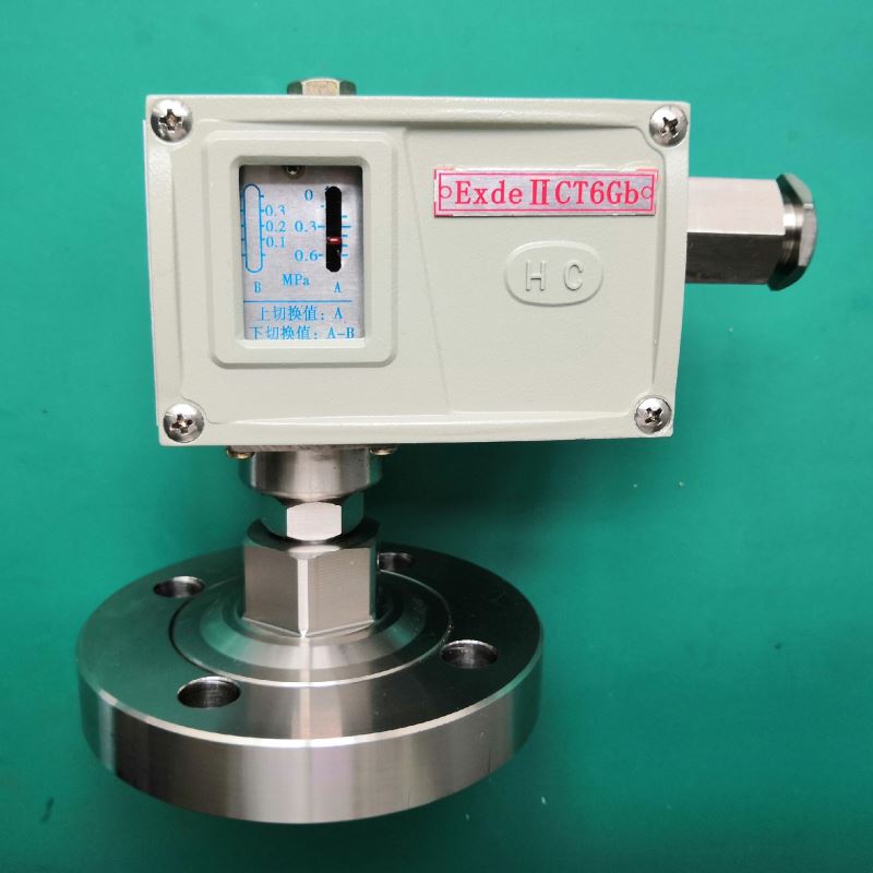 单刀双掷机械式可调防爆压力开关