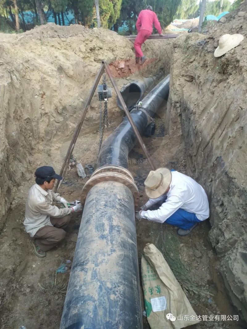 库存现货超高分子耐磨管带法兰一根