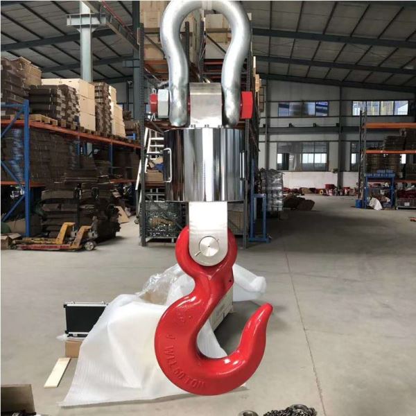 耐高温吊磅秤行车电子秤带打印