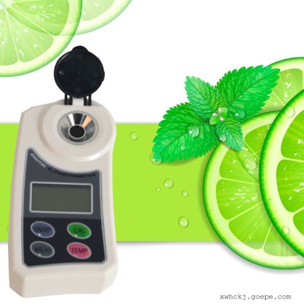 便携式数显盐计