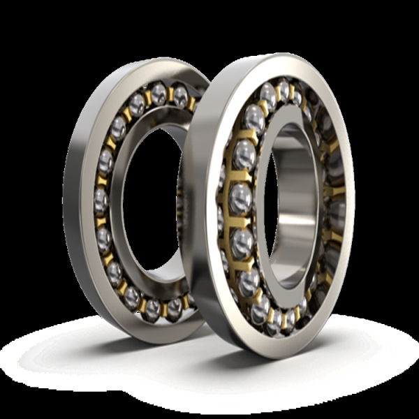 圆柱滚子轴承用于工业