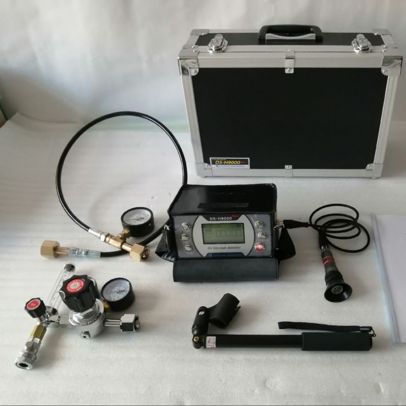 示踪气体漏水检测仪