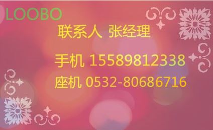 原装离子汞蒸汽检测仪