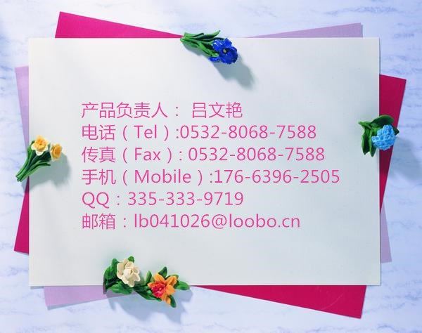 汞蒸汽检测仪双量程检测