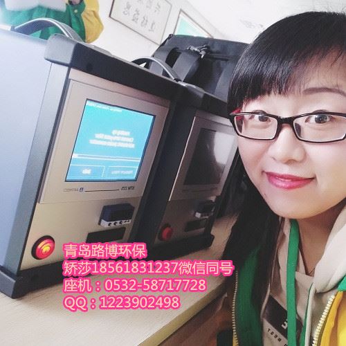 大流量低浓自动烟尘烟气检测仪生产