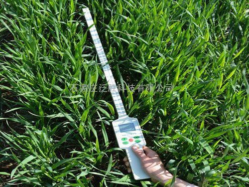 植物冠层分析仪