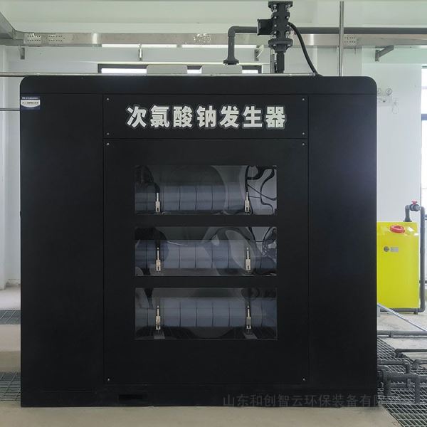 智云大供水厂用次氯酸钠发生器饮用水消毒处理设备