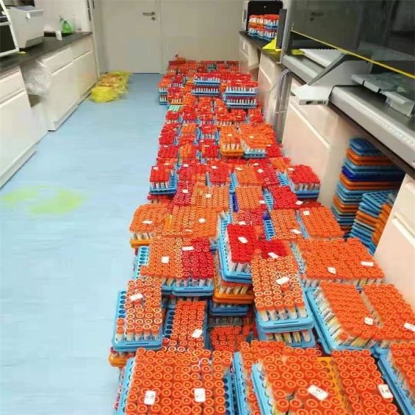 多管漩涡混合器核酸采样管样本摇床振荡器