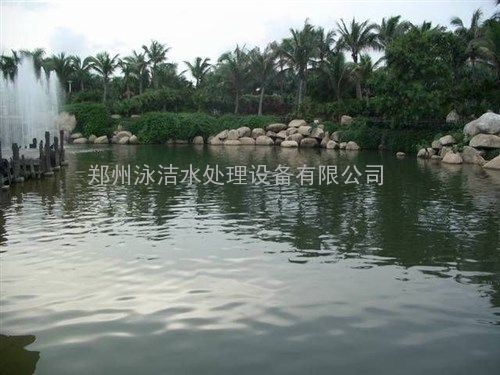景观湖景观河水处理工程承接景观水循环利用净化设备