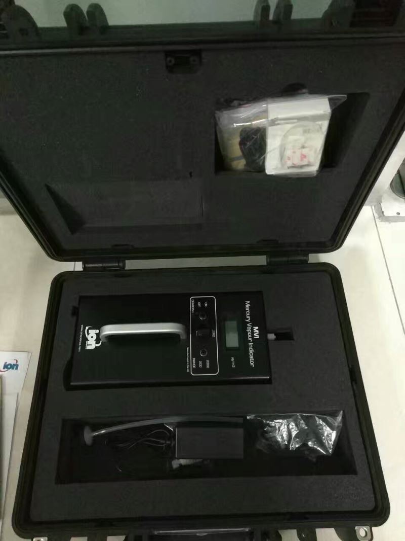 汞对人体的危害太大离子汞蒸汽检测仪有现货